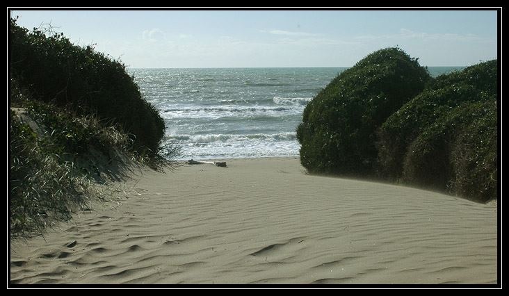 Le dune di Castel Porziano